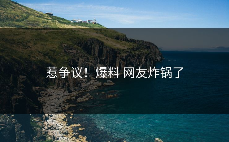 惹争议！爆料 网友炸锅了