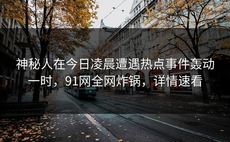 神秘人在今日凌晨遭遇热点事件轰动一时，91网全网炸锅，详情速看