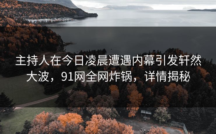 主持人在今日凌晨遭遇内幕引发轩然大波，91网全网炸锅，详情揭秘