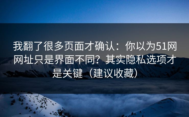 我翻了很多页面才确认：你以为51网网址只是界面不同？其实隐私选项才是关键（建议收藏）